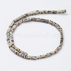 Natural Dalmatian Jasper Beads Strands&nbsp;G-G968-D10