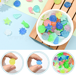 120g Luminous Acrylic Beads&nbsp;OACR-SP0001-79A