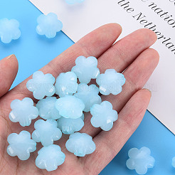 Imitation Jelly Acrylic Beads&nbsp;LS-MACR-S373-87-E08