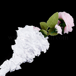 5M Polyester Pleated Lace Ribbon&nbsp;OCOR-WH0085-66B
