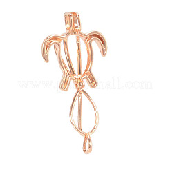 Hollow Brass Bead Cage Pendants&nbsp;KK-K124-09RG-NR