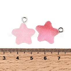 Resin Pendants&nbsp;RESI-D022-01P