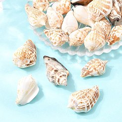 Natural Conch Shell Beads&nbsp;X-BSHE-O007-57