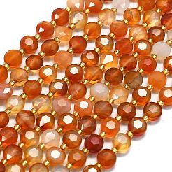 Natural Red Agate Beads Strands&nbsp;G-C116-A12-02