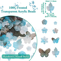 100G Transparent Acrylic Beads&nbsp;FACR-TA0001-06A