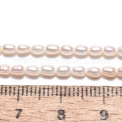 Natural Cultured Freshwater Pearl Beads Strands&nbsp;PEAR-N024-01-4AB