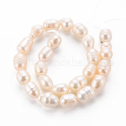 Natural Cultured Freshwater Pearl Beads Strands&nbsp;X1-PEAR-S012-41E