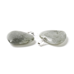 Natural Labradorite Pendants&nbsp;G-G956-B45-FF