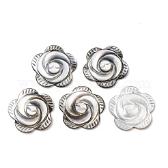 Rose Black Lip Shell Cabochons&nbsp;SSHEL-E553-09