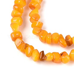 Natural Freshwater Shell Beads Strands&nbsp;SHEL-N037-04G