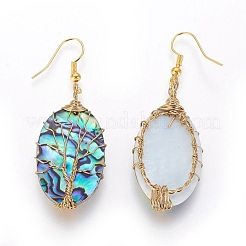 Abalone Shell/Paua Shell Dangle Earrings&nbsp;EJEW-L235-02G
