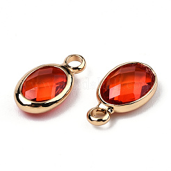 K9 Glass Charms&nbsp;GLAA-N038-23