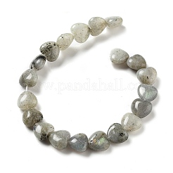 Natural Labradorite Beads Strands&nbsp;G-P528-C05-01