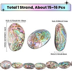 1 Strand Natural Abalone Shell/Paua Shell Beads Strands&nbsp;SSHEL-SC0001-64