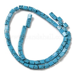 Synthetic Turquoise Beads Strands&nbsp;G-F762-A01-01
