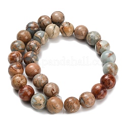 Natural Aqua Terra Jasper Beads Strands&nbsp;G-Z110-C01-14mm
