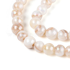 AB Color Natural Freshwater Shell Beads Strands&nbsp;BSHE-T014-40C