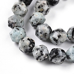 Dyed Natural Sesame Jasper Beads Strands&nbsp;G-T139-8mm-47J