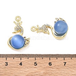 Alloy Rhinestone Pendants&nbsp;FIND-D044-22G-02