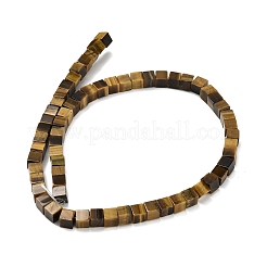 Natural Yellow Tiger Eye Beads Strands&nbsp;G-Z110-J02-6x6mm