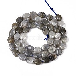 Natural Labradorite Beads Strands&nbsp;G-T142-19