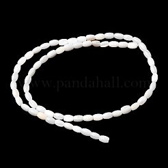 Natural Freshwater Shell Beads Strands&nbsp;SHEL-K006-06