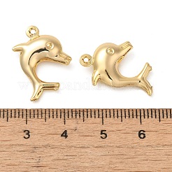 Brass Pendants&nbsp;KK-O100-16G-01