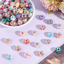 60Pcs Resin European Beads&nbsp;RPDL-HY0001-01