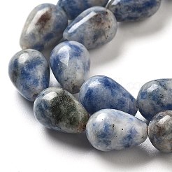 Natural Blue Spot Jasper Beads Strands&nbsp;G-B106-A15-02