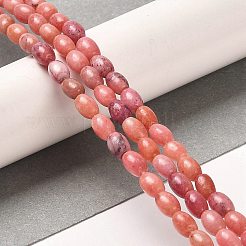 Natural Dolomite Beads Strands&nbsp;G-F765-A05-01
