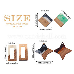 12Pcs 6 Styles Transparent Resin & Walnut Wood Pendants&nbsp;RESI-CW0001-14