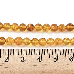 Natural Amber Beads Strands&nbsp;G-L095-B01-5mm-02