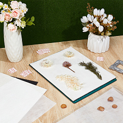 Plant Cotton Dibers & Sponge & Non-woven Fabric Liner Drying Plate for Flower Pressing Water-Absorbing&nbsp;DIY-WH0591-299A