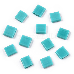 FGB 200Pcs 2-Hole Baking Paint Glass Seed Beads&nbsp;SEED-TD001-01