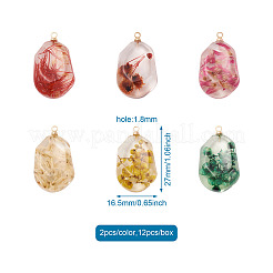 12Pcs 6 Colors Resin Pendants&nbsp;RESI-CD0001-08