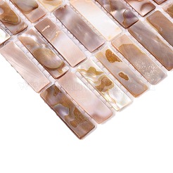Natural Freshwater Shell Mosaic Tile Cabochons&nbsp;SHEL-Q029-01