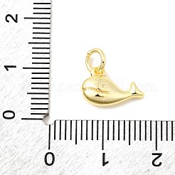 Brass Charms&nbsp;KK-C139-28B-G