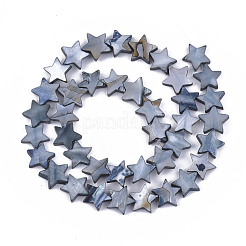Freshwater Shell Beads Strands&nbsp;X-SHEL-S276-31A