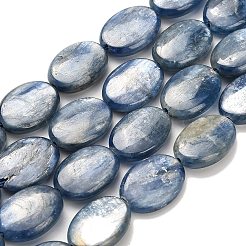 Natural Kyanite Beads Strands&nbsp;G-H335-D01-10x14mm