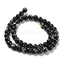 Assembled Synthetic Stone and Trochus Shell Beads Strands&nbsp;G-B128-08C-04