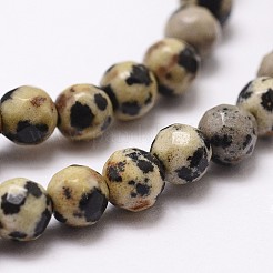 Natural Dalmatian Jasper Beads Strands&nbsp;X-G-D840-49-4mm