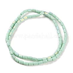 Frosted Imitation Jade Glass Beads Strands&nbsp;GLAA-P058-07A-10