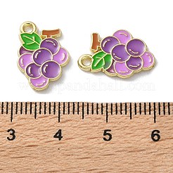 Fruit Alloy Enamel Charms&nbsp;PALLOY-S058-01LG-25