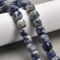 Natural Blue Spot Jasper Beads Strands&nbsp;G-H078-C20-01