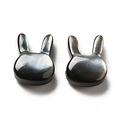 Natural Black Lip Shell Beads&nbsp;SHEL-G014-06A