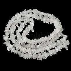 Natural Rainbow Moonstone Chip Beads Strands&nbsp;X-G-C195-01