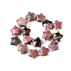 Natural Rhodonite Beads Strands&nbsp;G-T138-192