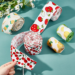 5 Colors Polyester Ribbon&nbsp;OCOR-NB0001-33