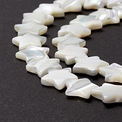 Natural Trochid Shell/Trochus Shell Beads&nbsp;SSHEL-O001-25D-01