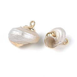 Electroplate Natural Spiral Shell Pendants&nbsp;SSHEL-N042-04